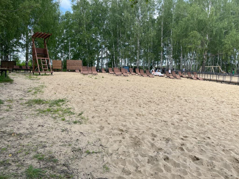 Выполнение работ по комплексному благоустройству и озеленению территории зоны отдыха (пляж микрорайона №10)